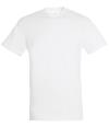 11380 Regent T-shirt White colour image